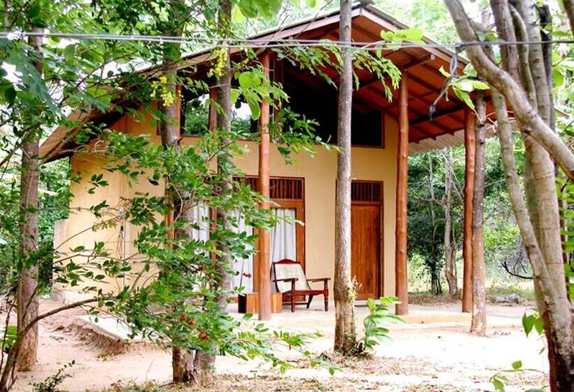 Fresco Lion Villa Hostel