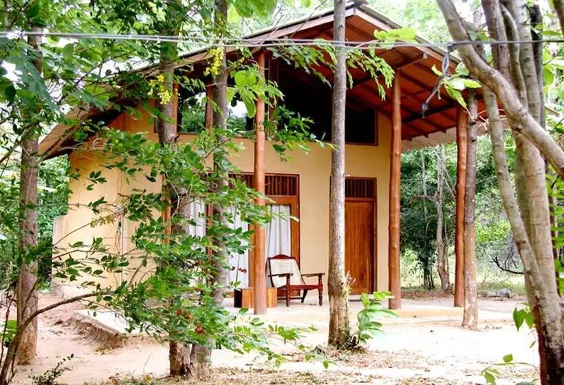 Fresco Lion Villa   Hostel