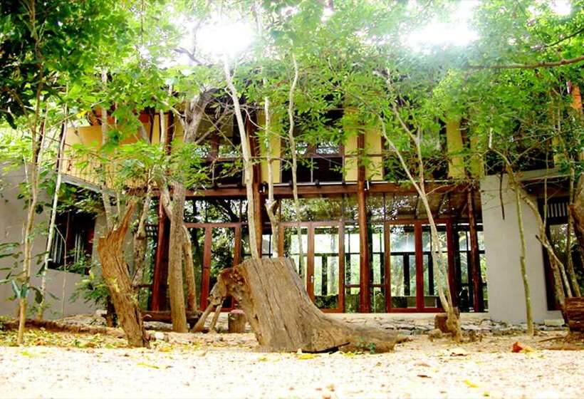 Fresco Lion Villa Hostel