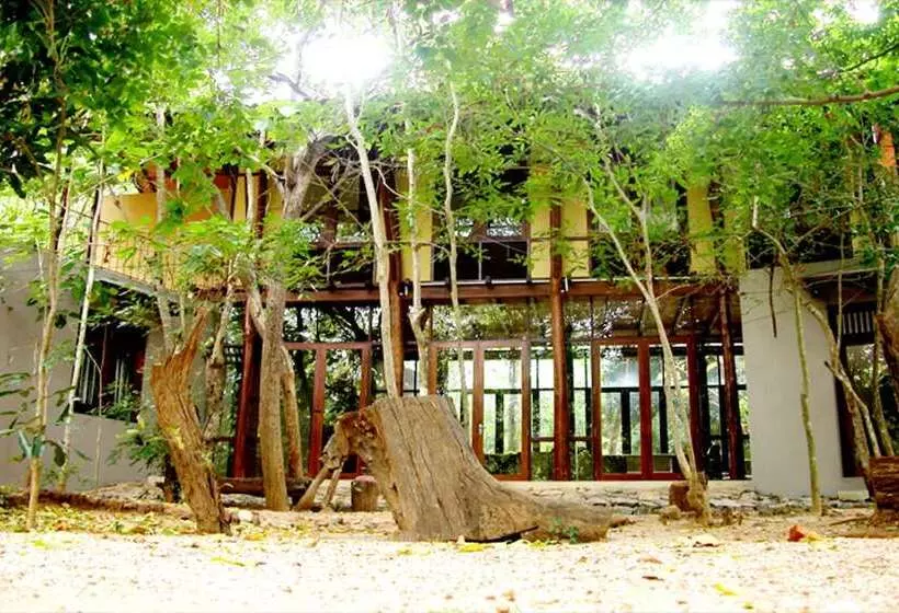 Fresco Lion Villa   Hostel