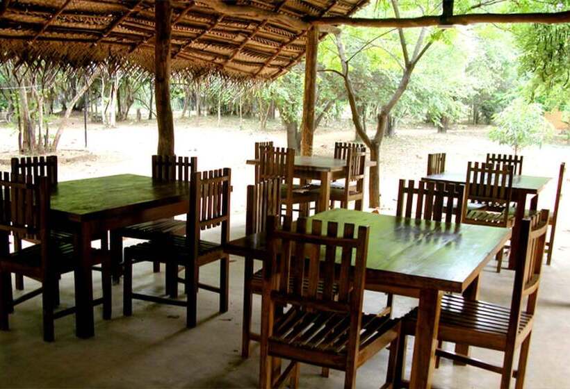 Fresco Lion Villa Hostel