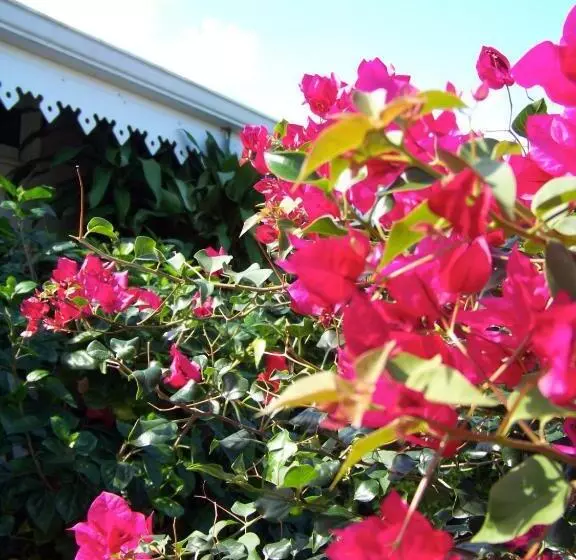 پانسیون Relais Fenua