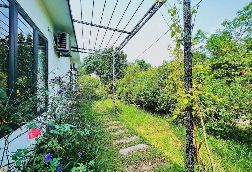 پانسیون Rose Villas & Resort   Ba Vi