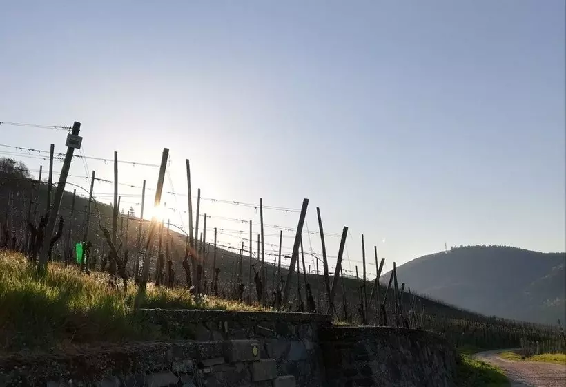 Ferienwohnung Panoramablick