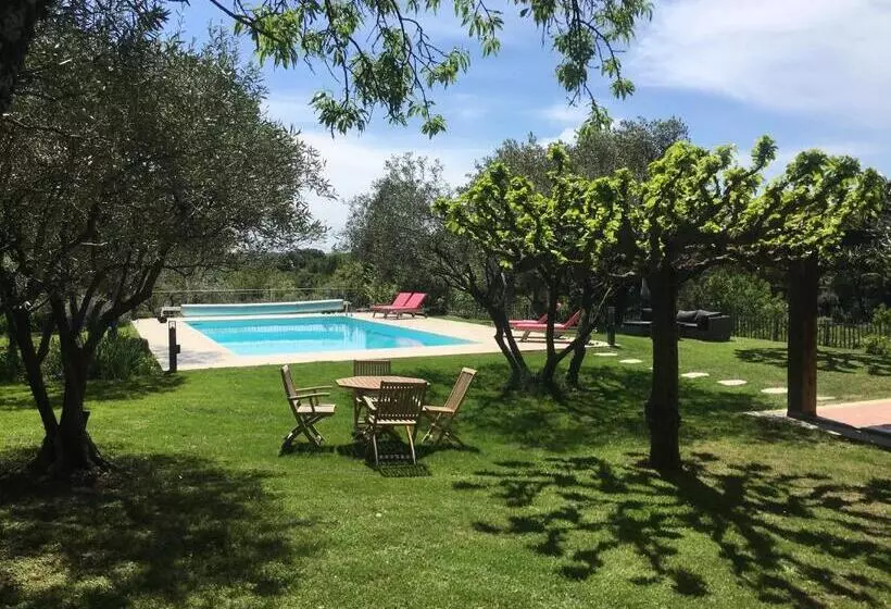 La Maison Des Olivettes