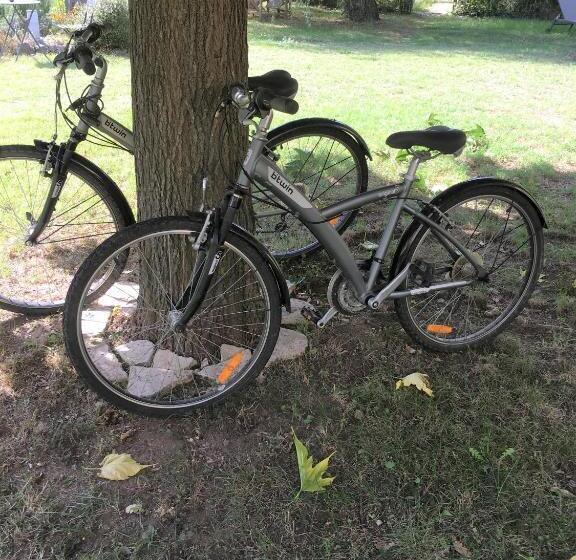 La Maison Des Olivettes