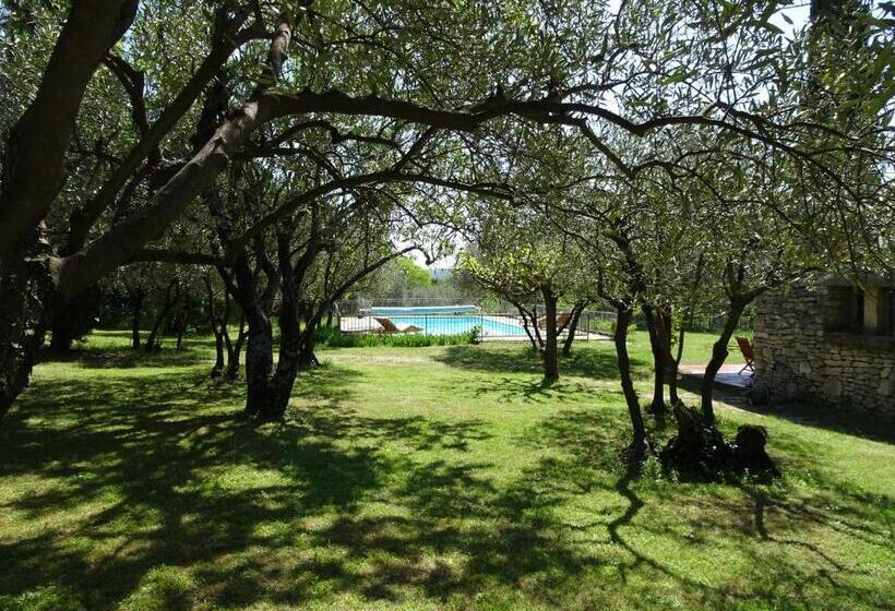 La Maison Des Olivettes