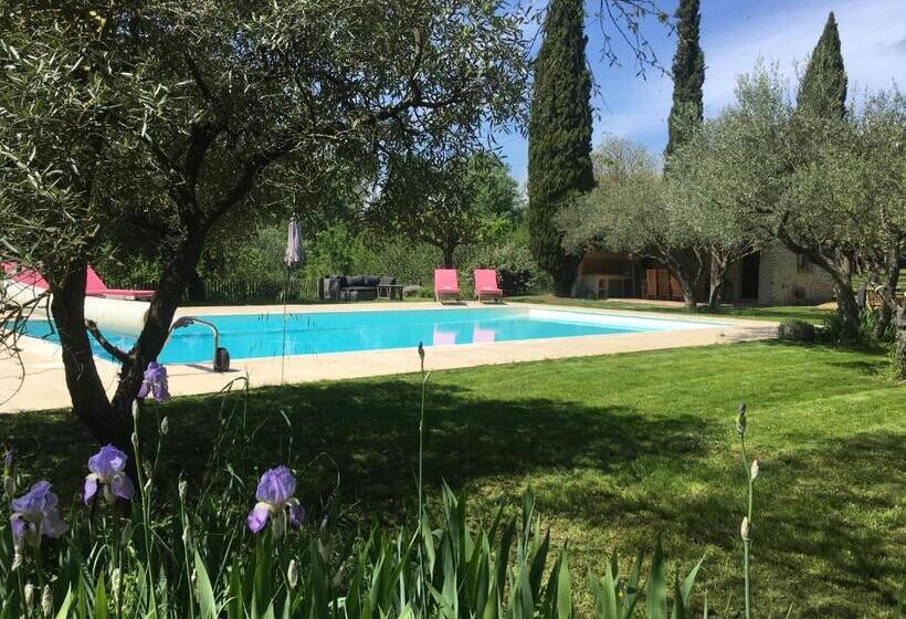 La Maison Des Olivettes