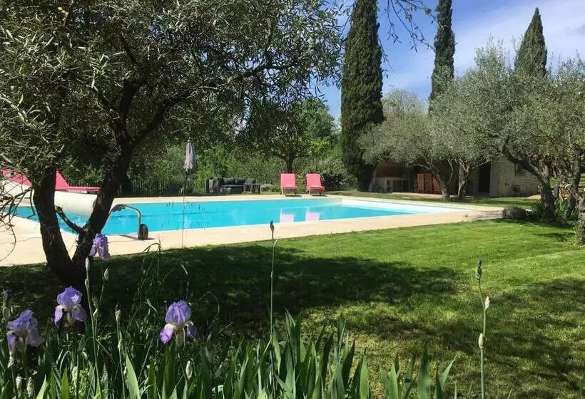 La Maison Des Olivettes