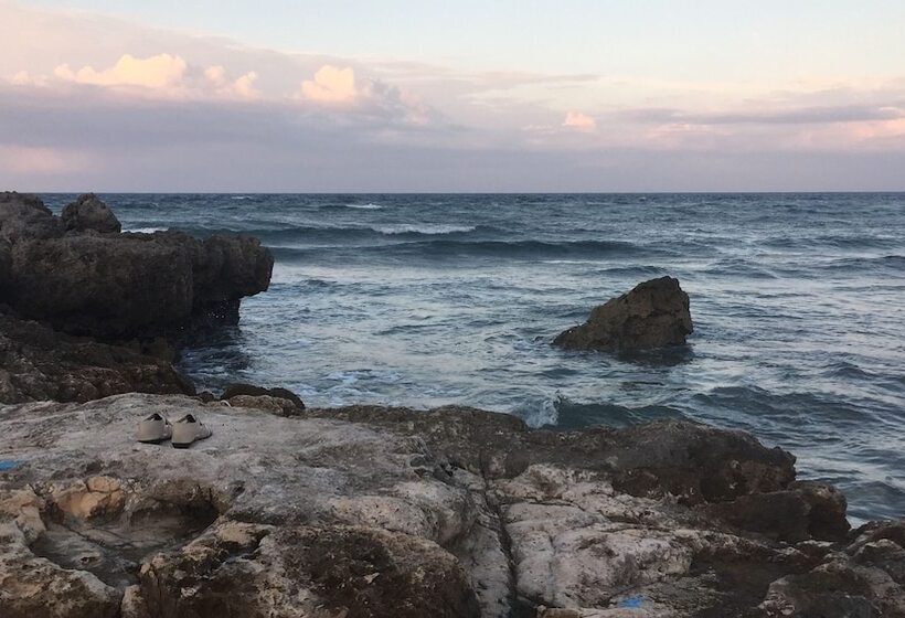 Dreamlike Arterra Hotel Apartment Cebu Seaside 14 Floor