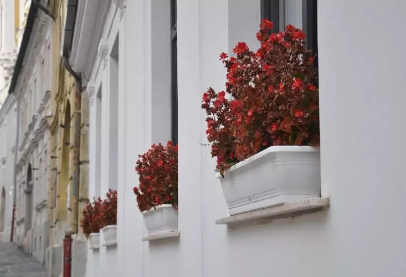 Majatalo Centrál Vendégház Székesfehérvár