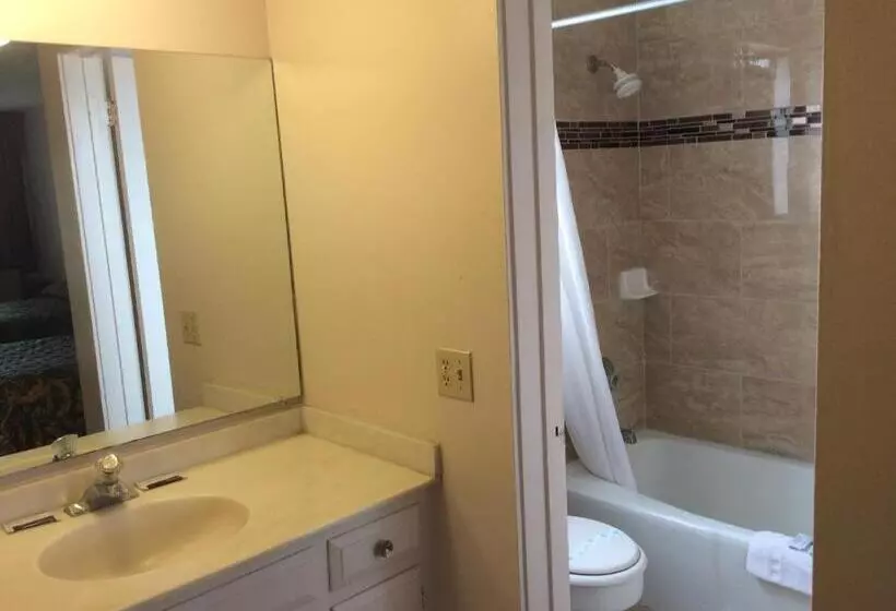 هتل Torch Lite Lodge