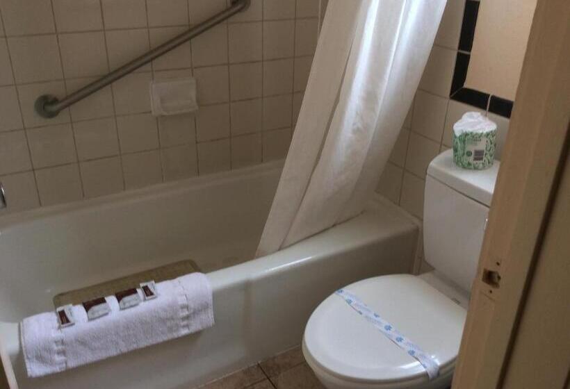 فندق Torch Lite Lodge