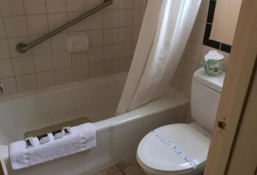 هتل Torch Lite Lodge