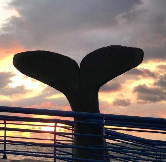 هتل Cabaña La Fortaleza