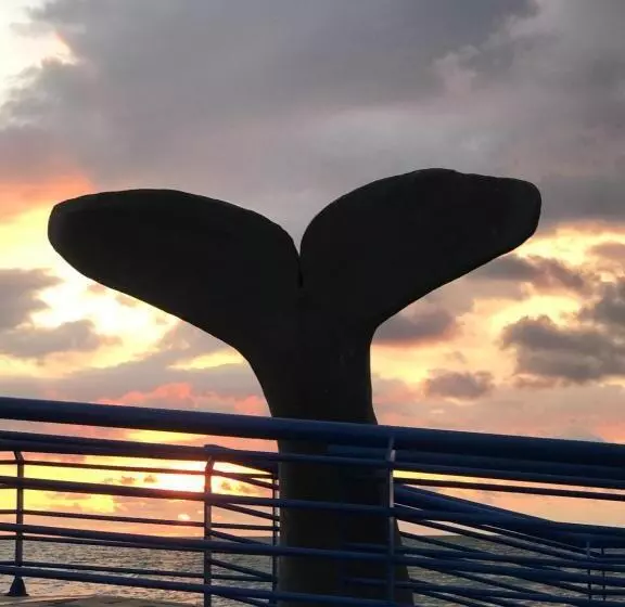 Hotelli Cabaña La Fortaleza