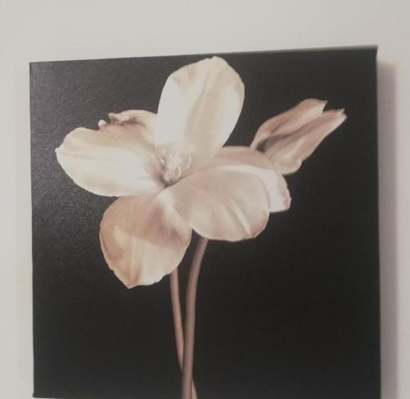 پانسیون De Rossi Holiday