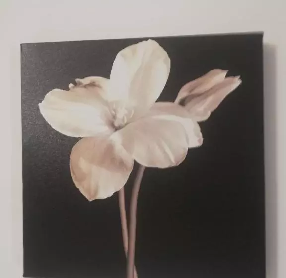 پانسیون De Rossi Holiday