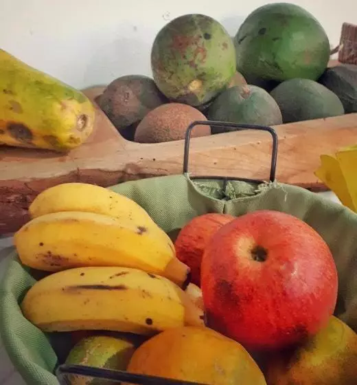 Majatalo Ecohostel Dos Canyons Santa Catarina