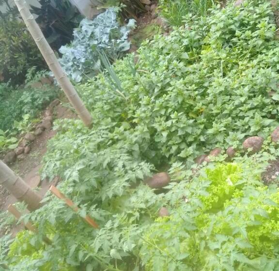 بنسيون Ecohostel Dos Canyons Santa Catarina