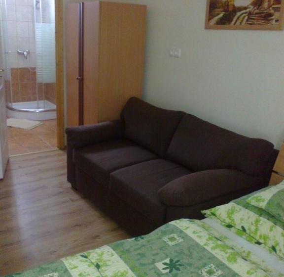 펜션 Szalay Vendégház