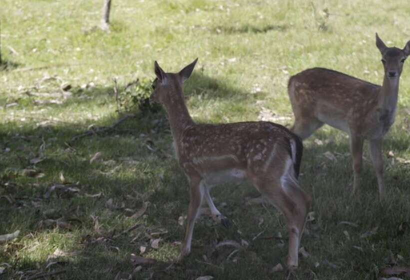 تختخواب و صبحانه Complejo Playa Grande Punta Del Diablo