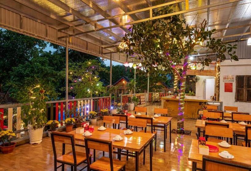 تختخواب و صبحانه Catba Spring Homestay