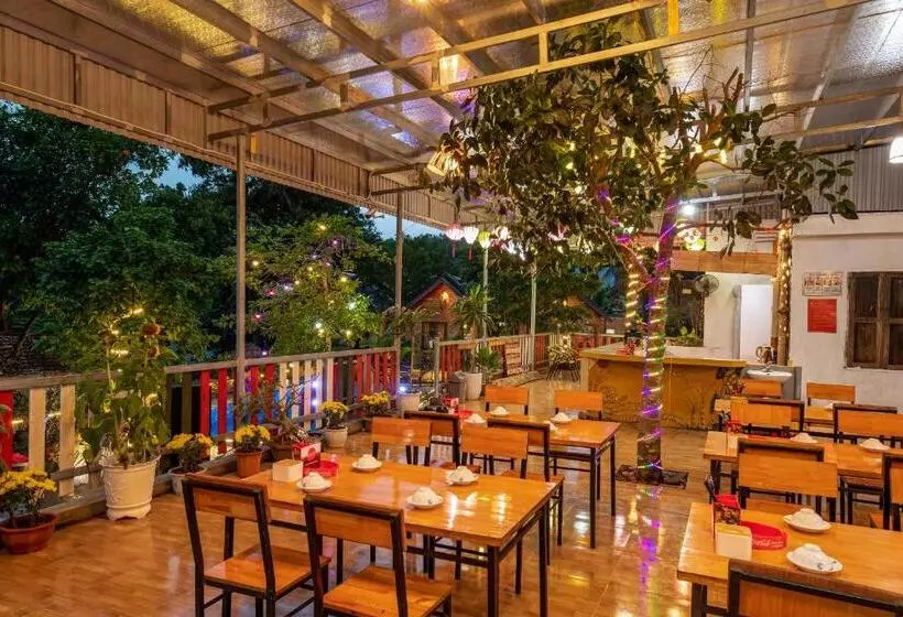 تختخواب و صبحانه Catba Spring Homestay