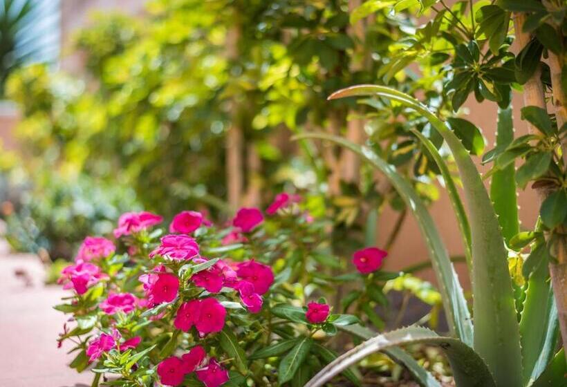 F06 Costa Sol Accommodation, Big Terrace, Pool