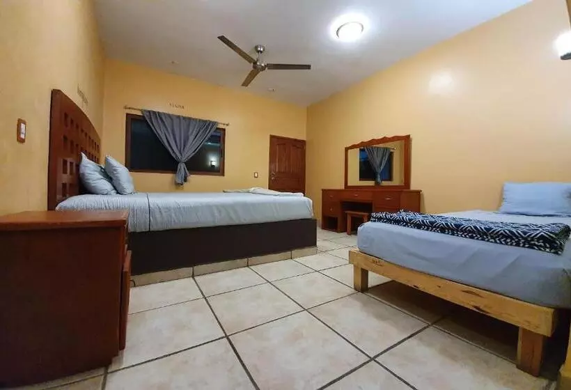 ホテル Colonos Los Cabos