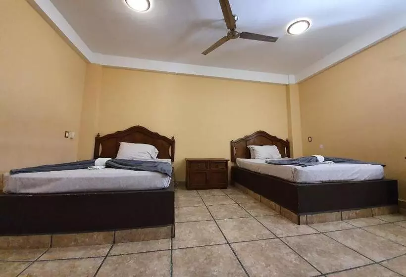 ホテル Colonos Los Cabos