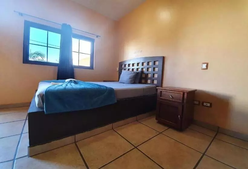 ホテル Colonos Los Cabos