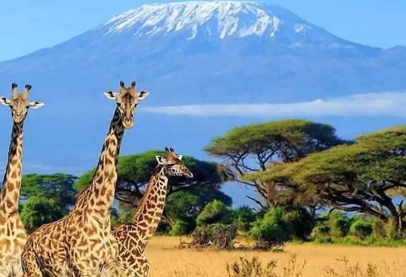 هتل Teen Ranch Camp