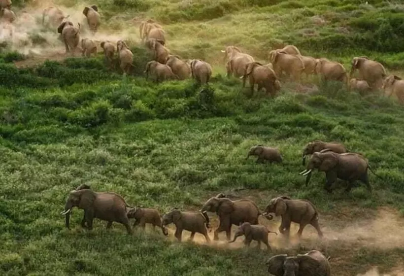 هتل Teen Ranch Camp