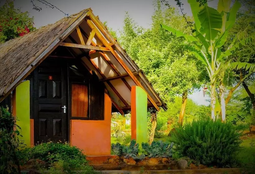 هتل Teen Ranch Camp