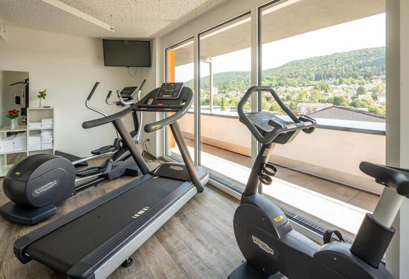 호텔 Schlossberg Wehingen