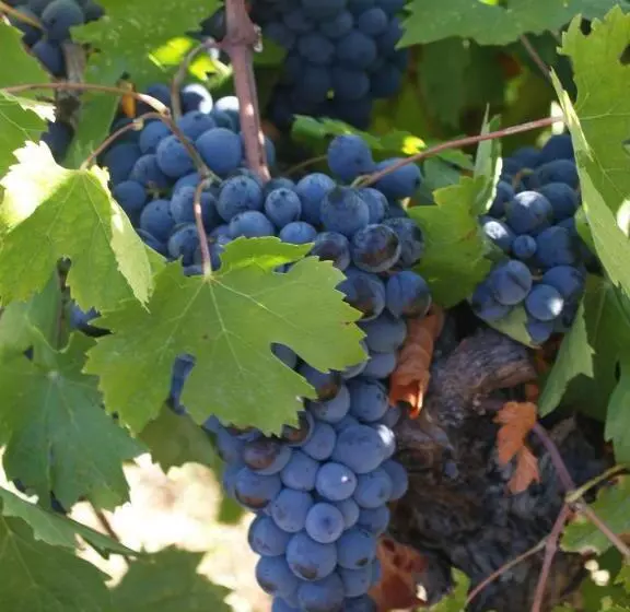 Aamiaismajoitus (B&B) Chambres & Tables D Hôtes Moulin De Lavon