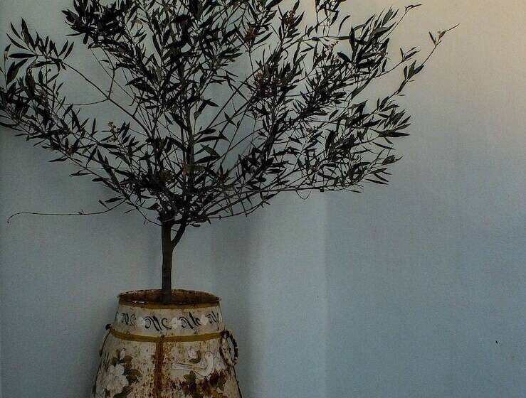 Pangaia Seaside ηotel Adults Only