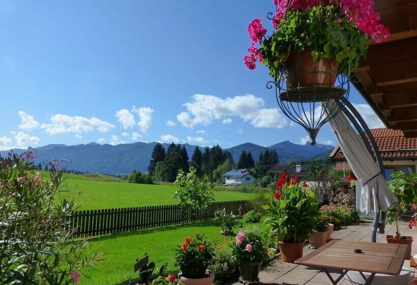 Blissful Apartment In Altenau With Patio