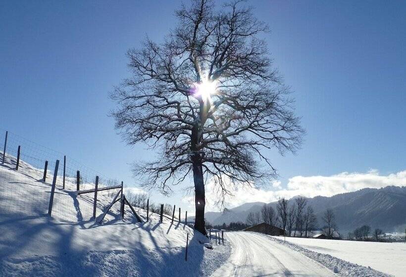 Blissful Apartment In Altenau With Patio