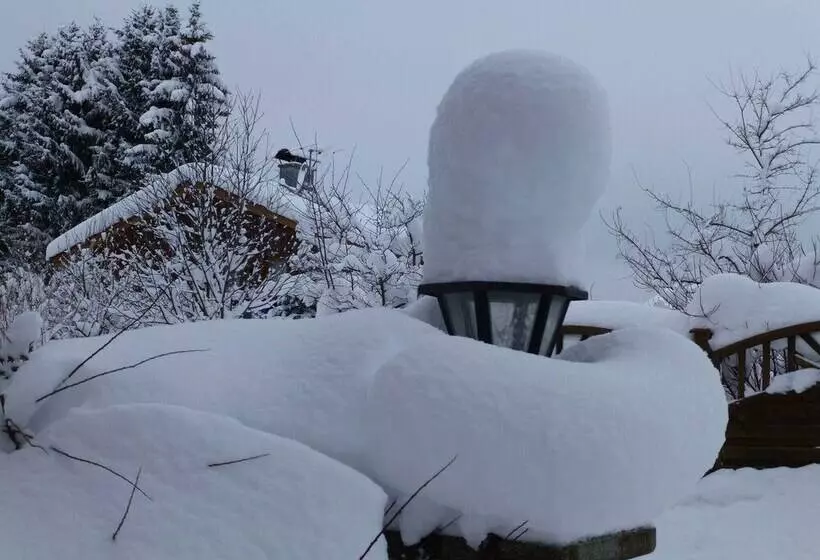 Blissful Apartment In Altenau With Patio