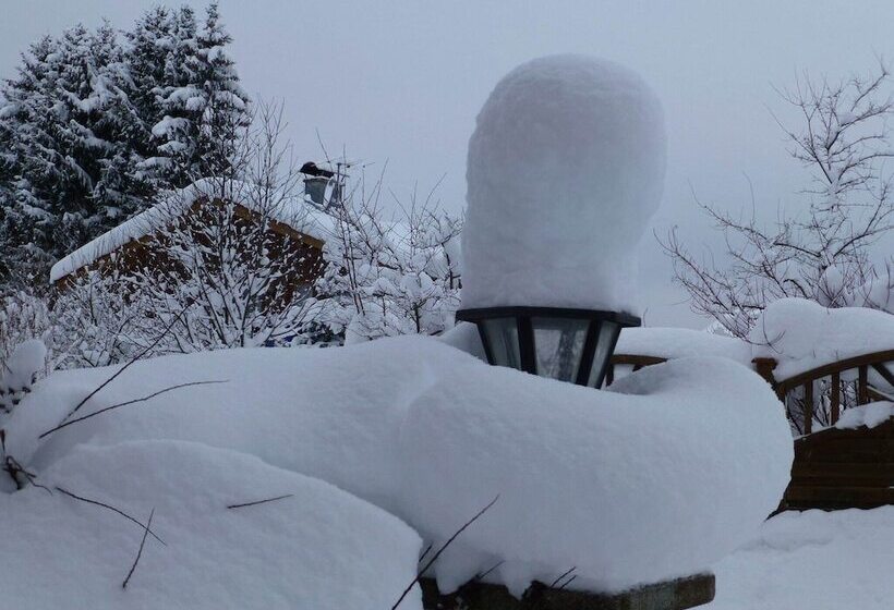 Blissful Apartment In Altenau With Patio