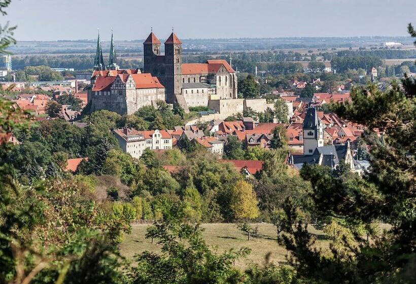 Home With Lots Of Light And A Great View