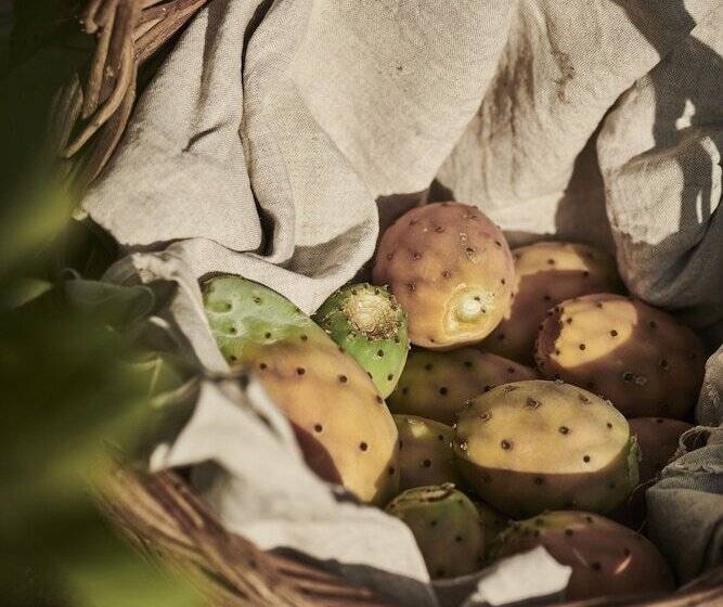 Fogadó Cascioni Eco Retreat