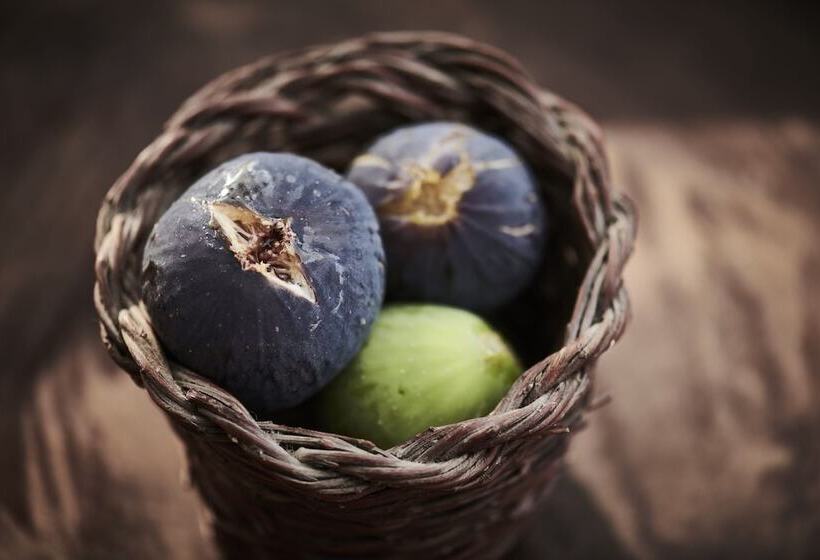 Fogadó Cascioni Eco Retreat