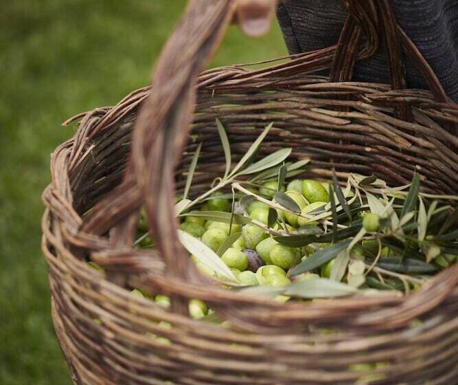 Fogadó Cascioni Eco Retreat