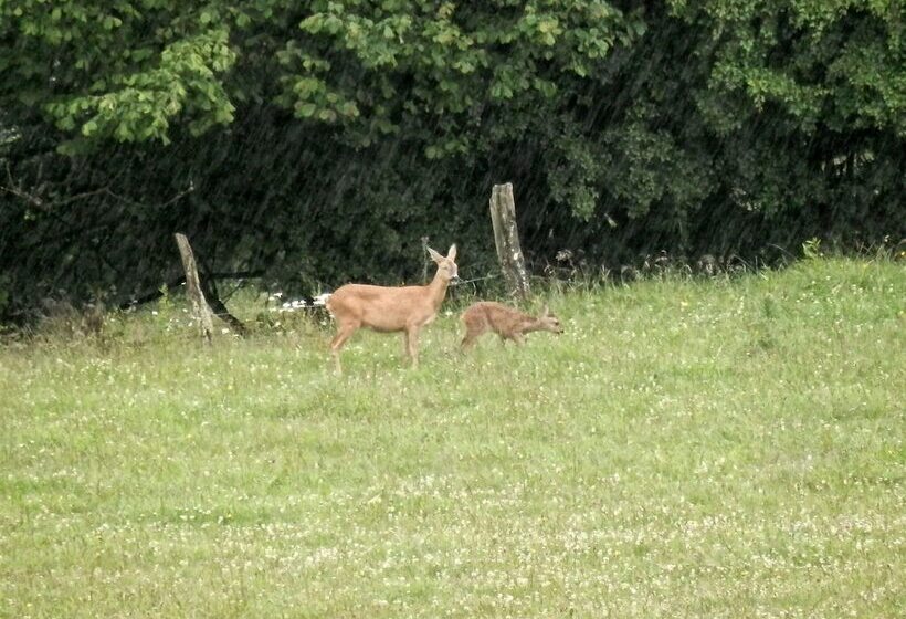 Luxurious Farmhouse Near The Ski Area