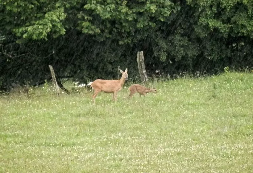 Luxurious Farmhouse Near The Ski Area
