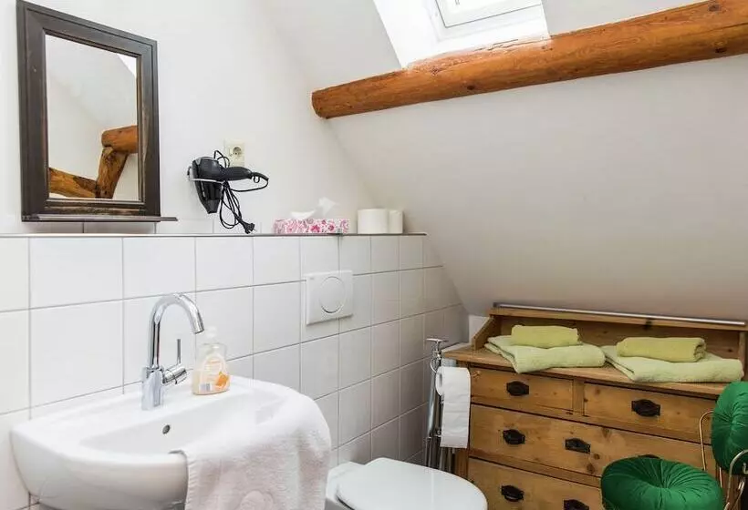 Vintage Apartment With Garden