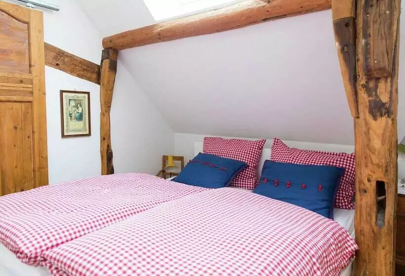 Vintage Apartment With Garden